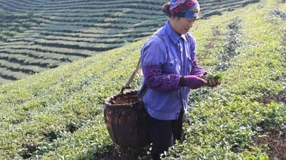Đình Lập: Điểm sáng giảm nghèo