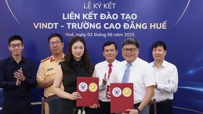 VinDT nâng tầm trải nghiệm học lái xe bằng dàn xe điện VinFast