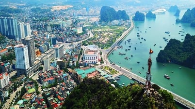 ハロンの社会住宅：1,300戸の新規住宅で需要を満たすのに十分でしょうか?