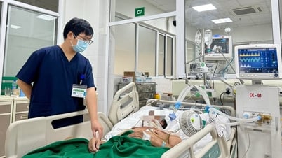Augmentation des cas de tétanos à Hanoi