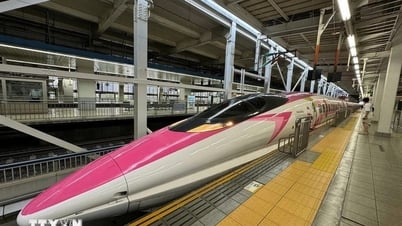 « La clé d'or » pour la construction de la ligne ferroviaire à grande vitesse Nord-Sud