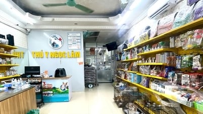 Chống loạn giá dịch vụ thú y: