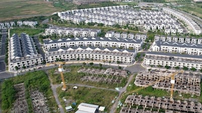 Nhóm cổ đông lớn liên quan ông Bùi Thành Nhơn đã bán xong 6,4 triệu cổ phiếu Novaland