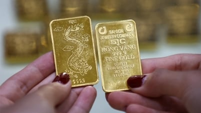 Goldbarrenpreis sinkt auf 117 Millionen VND