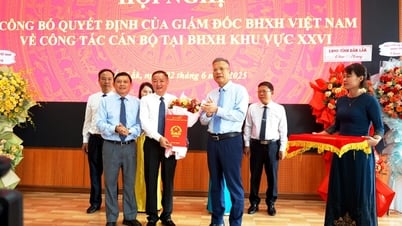 M. Tran Manh Toan a été nommé au poste de directeur de la région d'assurance sociale XXVI.