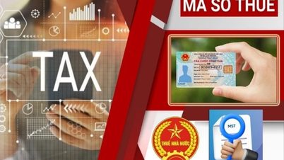 Sử dụng số định danh cá nhân thay cho mã số thuế từ 01/7/2025: Lưu ý với người nộp thuế