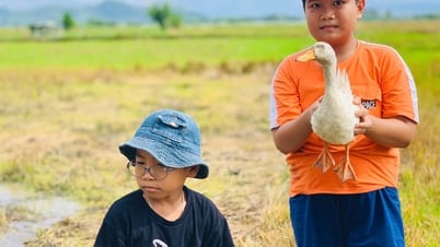 Go to the countryside to escape the heat