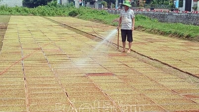 Preparar las condiciones de producción de cultivos