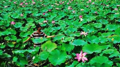 Diverse OCOP-Produkte verarbeitet von Lotus