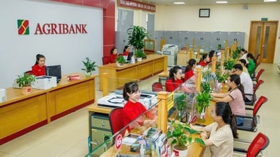 Agribank создает зеленую и устойчивую финансовую экосистему
