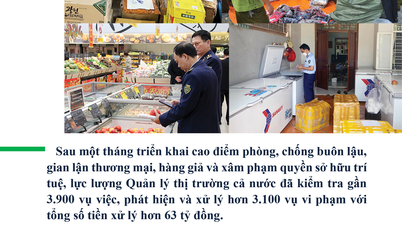 Hơn 3.100 vụ vi phạm đã bị xử lý trong tháng cao điểm chống buôn lậu