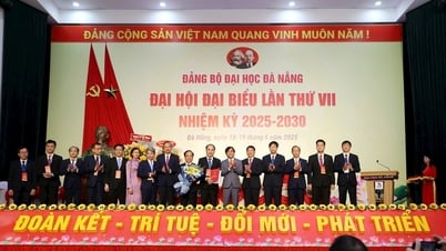 Xây dựng Đại học Đà Nẵng thành trung tâm đào tạo, nghiên cứu trọng điểm của cả nước