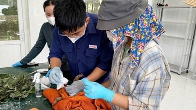 Tiếp nhận, cứu hộ 2 cá thể động vật hoang dã quý hiếm