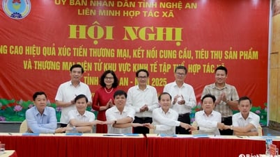 Hỗ trợ các hợp tác xã xây dựng chuỗi giá trị liên kết từ sản xuất - chế biến - tiêu thụ