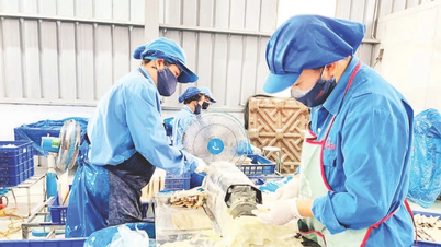 Nâng tầm nông sản Bắc Kạn