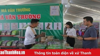 Đưa sản phẩm OCOP vươn ra thị trường