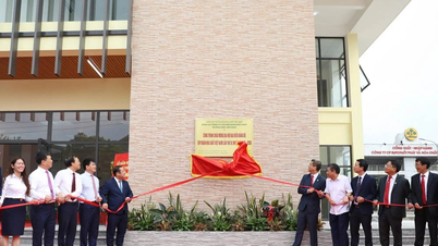 Phu Tho builds a potassium fertilizer production line with a capacity of 20,000 tons/year