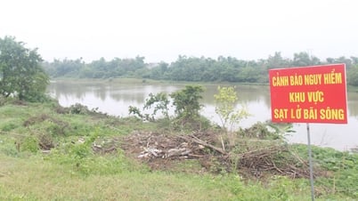 Annonce de la situation d'urgence et ordre de construire des travaux pour gérer les glissements de terrain sur les rives et les plages de la rivière Thuong