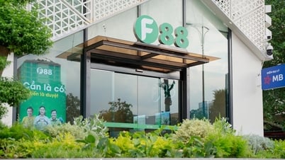 Expectativas de F88 al lanzar una tienda financiera diseñada al estilo bancario