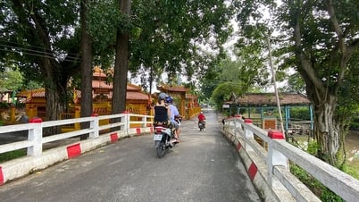 Những nẻo đường phù sa xứ cù lao