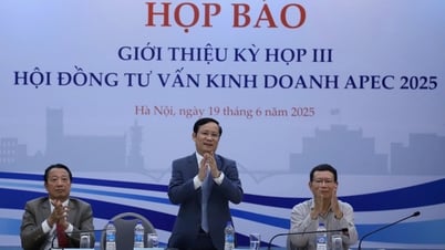 Das dritte Treffen des APEC Business Advisory Council (ABAC III) und damit verbundene Veranstaltungen finden vom 15. bis 18. Juli 2025 in Hai Phong statt.