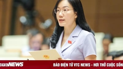 Đại biểu Quốc hội lo nở rộ kỳ thi đánh giá năng lực gây tốn kém, tăng áp lực thi cử