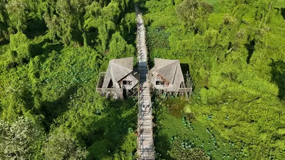 Mekong-Delta-Tourismus: Highlights aus Kultur und Landschaft schaffen