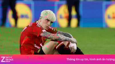 Quyết định tàn nhẫn của Amorim