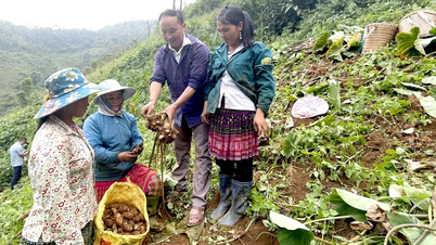 Cuộc cách mạng nông nghiệp ở Trạm Tấu