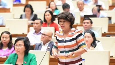 国会議員らは、追加教育と学習に関する通達第29号における政策と実践のギャップを懸念している。