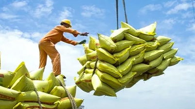 Việt Nam thu về 2,34 tỷ USD nhờ xuất khẩu gạo