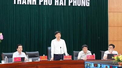 Hải Phòng - Hải Dương: Vận hành thử nghiệm trực tuyến giai đoạn 1 hoạt động của các cơ quan Đảng, Nhà nước, MTTQ Việt Nam cấp xã