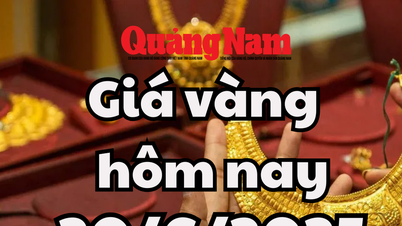 Giá vàng hôm nay 20/6/2025: Giá vàng trong nước bình chân, vàng thế giới đuối sức