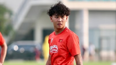 Dinh Bac revient, Bui Alex est appelé chez les U23 du Vietnam pour participer au tournoi d'Asie du Sud-Est
