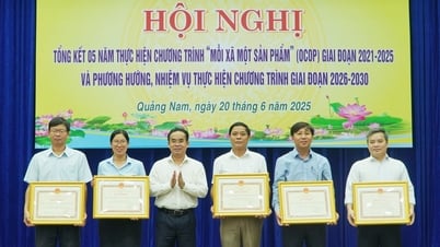 Quang Nam tiene 546 productos OCOP de 3 a 5 estrellas