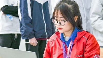 10 đại học ở Việt Nam lọt top thế giới, nhiều trường tăng hạng