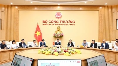 Thương mại đối ứng Việt Nam – Hoa Kỳ: Hướng tới thỏa thuận phù hợp lợi ích hai bên