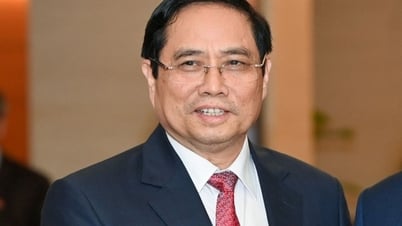 Approving the list of members of the National Steering Committee on Private Economic Development