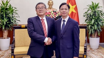 Thứ trưởng Ngoại giao Ngô Lê Văn tiếp Đoàn đại biểu Ủy ban Tư vấn Chính sách Ngoại giao Trung Quốc