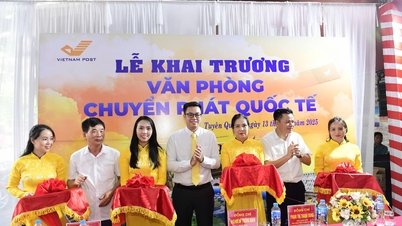 Eröffnung eines Büros für internationale Zustelldienste – Provinzpostamt Tuyen Quang