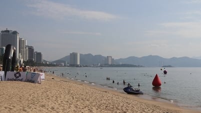 يشارك ما يقرب من 800 رياضي في بطولة السباحة SeaStar Nha Trang Bay 2025