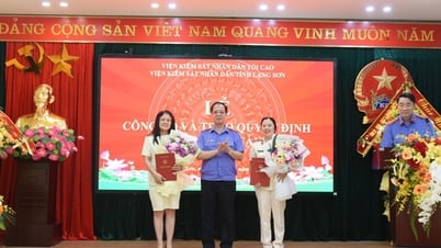 도인민검찰원 검찰총장 이관 및 임명 결정 공고