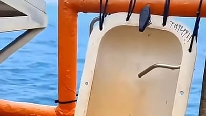 L'image de toilettes transparentes au milieu de la mer attire des millions de vues