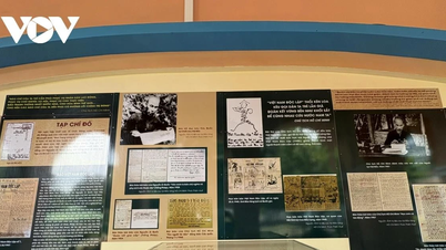 Displaying 100 documents and artifacts about Uncle Ho with the press