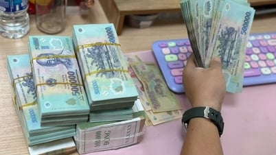 เกษตรกรสามารถกู้เงินได้สูงสุด 300 ล้านดอง โดยไม่ต้องมีหลักทรัพย์ค้ำประกัน เริ่ม 1 ก.ค.นี้