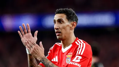 Pronostic Benfica - Auckland City, 23h00, 20 juin : Les « Aigles rouges » déploient leurs ailes et volent