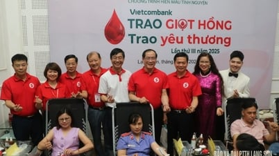 Hành trình Đỏ năm 2025 tiếp nhận 1.352 đơn vị máu