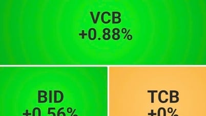 Séance du 20 juin, l'indice VN a perdu la barre des 1 350 points