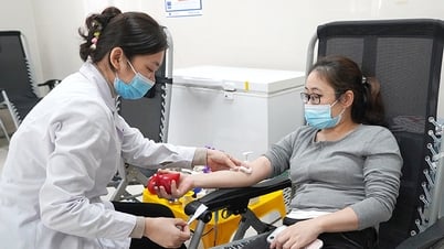 Bệnh viện hữu nghị Việt Nam-Cuba Đồng Hới khan hiếm máu trầm trọng