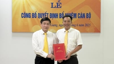 Vietnam Post ernennt stellvertretenden Direktor des Postamts der Provinz Ha Giang